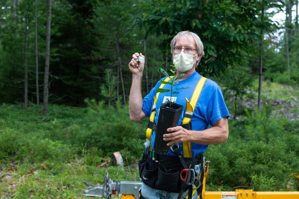 Klak holds up a vial of the blight-tolerant pollen.